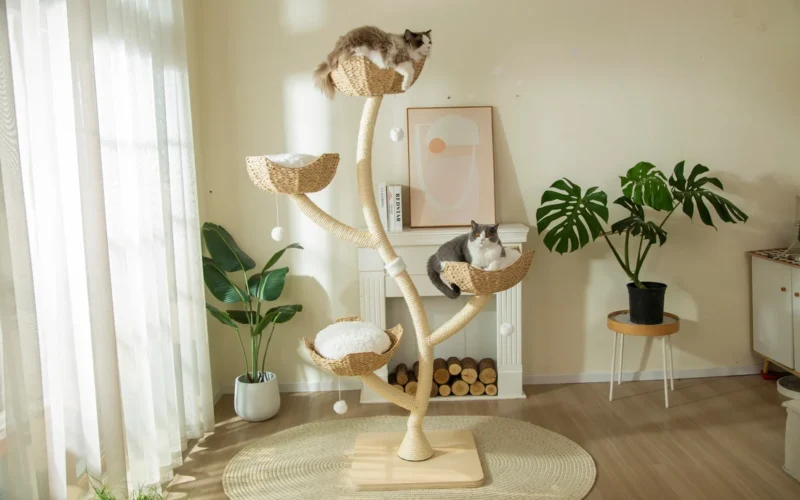 arbre a chat