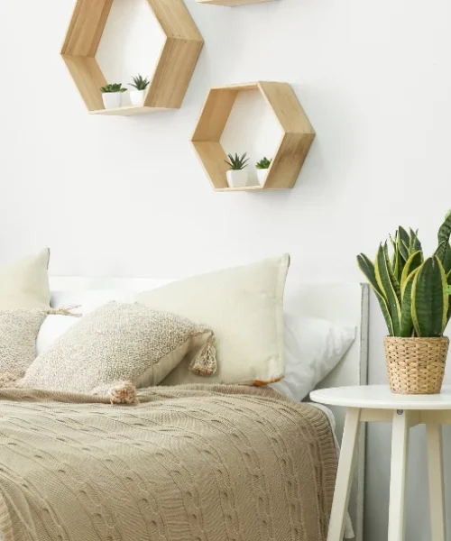 Quelle plante choisir pour une chambre ?